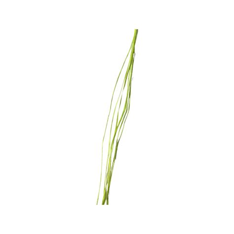 Bow string — ArcheryKart