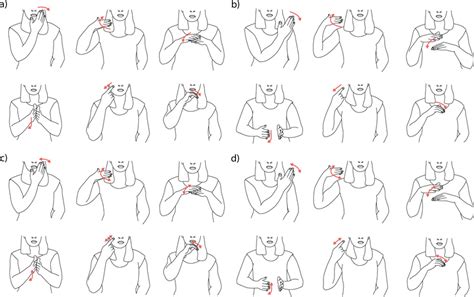 Image result for Flowchart of Body Movement