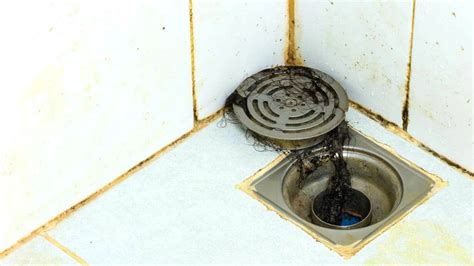 The Top Causes of Blocked Shower Drains and How to Prevent Clogs