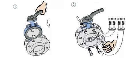 Image result for Wafer Connection Valve Installation