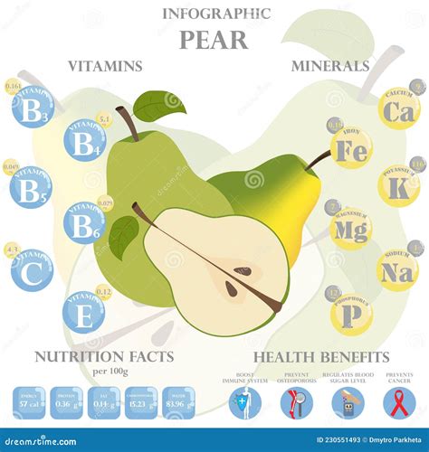 Pear Nutrition Facts and Health Benefits Infographic Stock Vector - Illustration of vegetarian ...