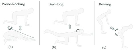 Image result for Compensatory Movement Examples