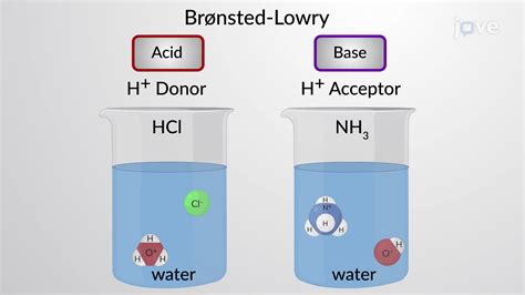 Video: Bronsted-Lowry Acids and Bases