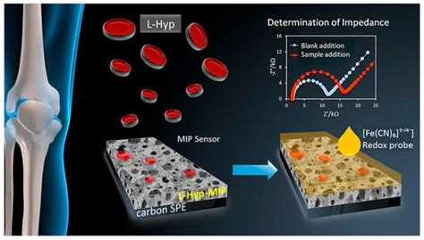 Biosensors | Special Issue : Electrochemical (Bio-) Sensors in ...