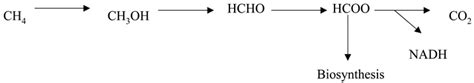 Methanotrophy: A Biological Method to Mitigate Global Methane Emission