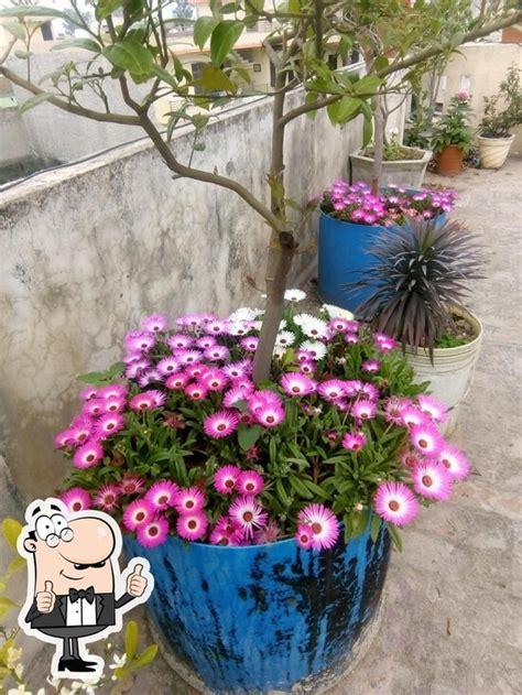 Indra Colony Kot Khalsa, Amritsar - Restaurant menu, prices and reviews