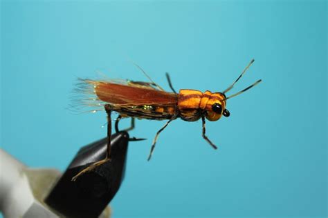 Image result for Tying Parachute Hopper Patterns