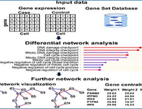 Single-cell RNA-seq 的图像结果