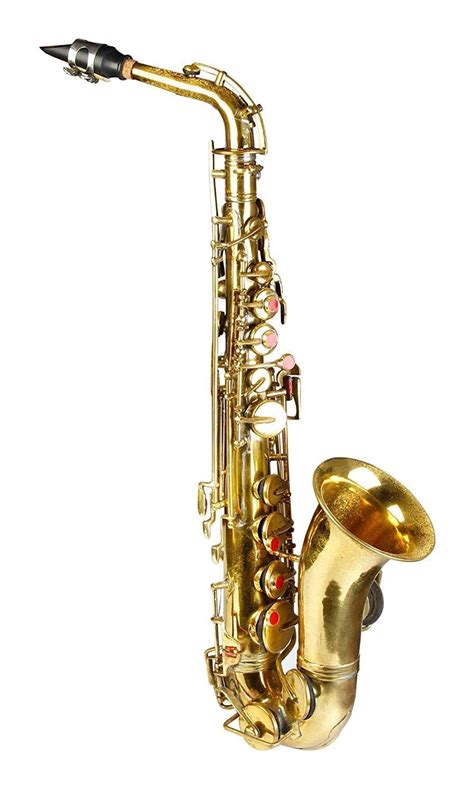 SM'SAI MUSICALS Gold Polish Alto Saxophone Full Kit – Brass E Flat ...