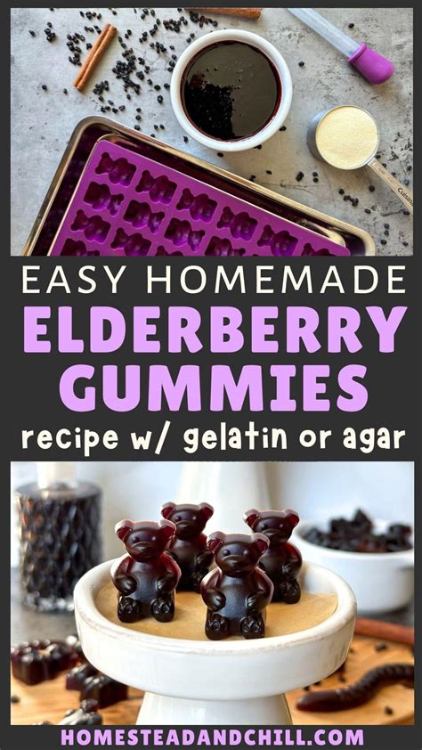 Easy Elderberry Gummies Recipe (How to Make Elderberry Gummies ...