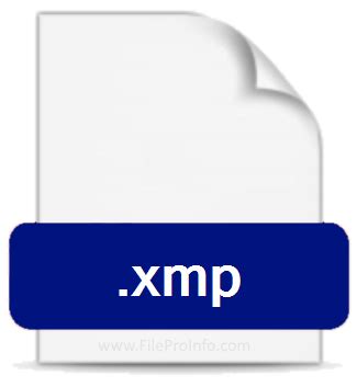 Image result for How to Open XMP Files