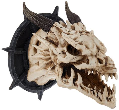 Design Toscano Horned Dragon Skull Wall Trophy : Amazon.in: Sports ...