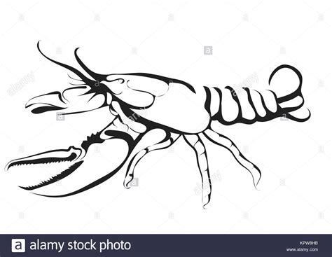 Image result for Simple Lobster Drawing