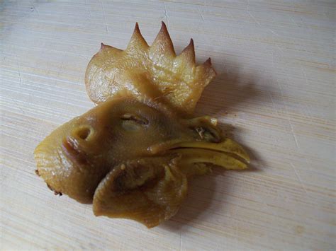 Chicken Head Free Stock Photo - Public Domain Pictures