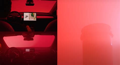 Here's What You Don't Know About Tesla's Bioweapon Defense Mode