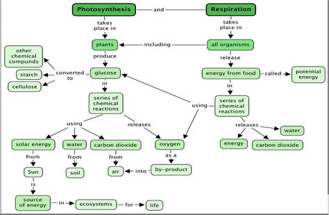 Image result for Class 10 Science Life Processes Mind Map