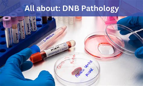 DNB Pathology: Admissions, Medical Colleges, Fee, Eligibility criteria ...