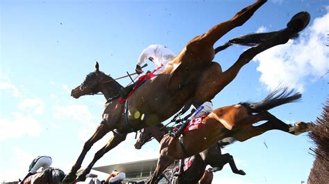 Cheltenham Gold Cup: Aye Right team pondering Festival options as ...