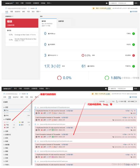 Java SonarQube Tutorial 的图像结果