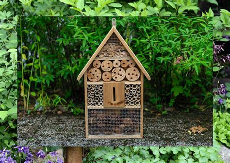 Bee Building at Muscliff Park, Muscliff Park, Bournemouth, 5 July 2024 ...