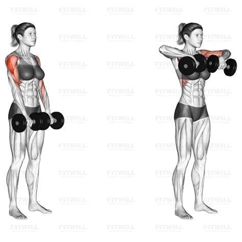 Dumbbell Upright Row: Exercise Guide, Video, Techniques, Benefits, How to, Muscles Worked, Tips ...
