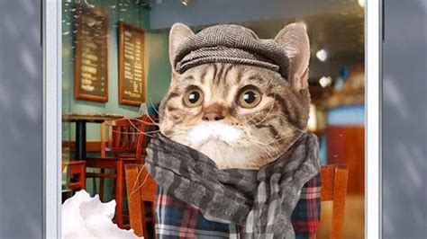 Image result for Android Tutorial Commercial Animals