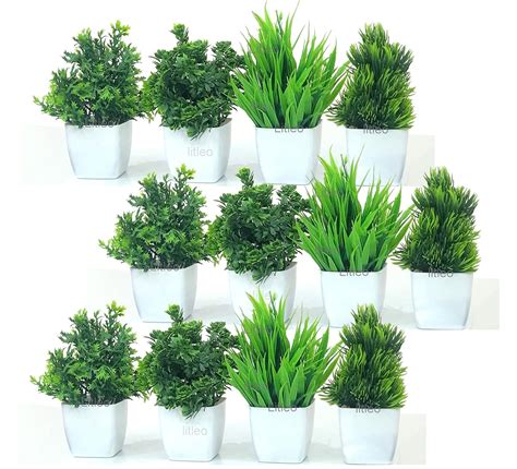 Buy Litleo Mini Green Plant with Pot Small Greenery Decor for Indoor ...