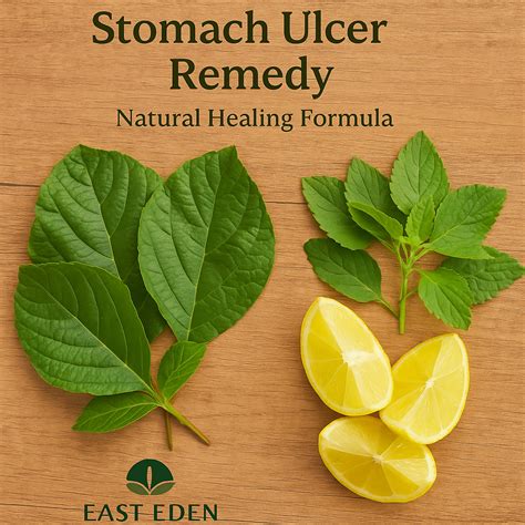 From Pain to Relief: A Natural Remedy for Stomach Ulcers That Works | by Francis Owusu-Banahene ...