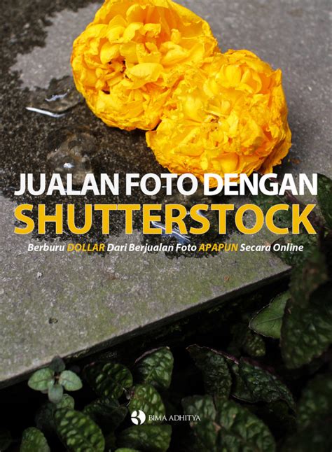 Shutterstock Tutorial 的图像结果