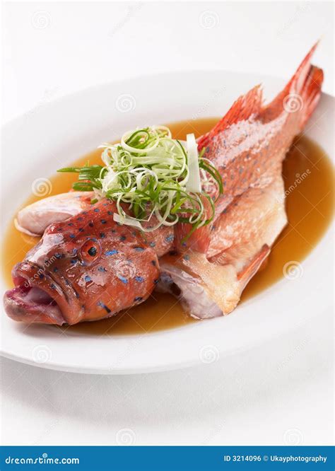 Steam Fish Chinese Style stock photo. Image of fresh, cilantro - 3214096