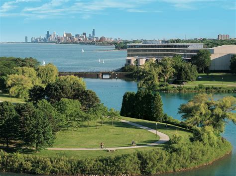 Northwestern University Memes