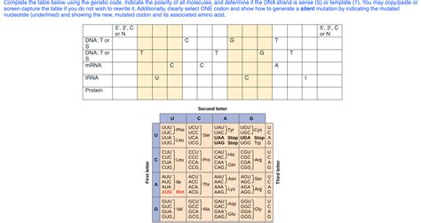 Image result for How to Use Genetic Code Table