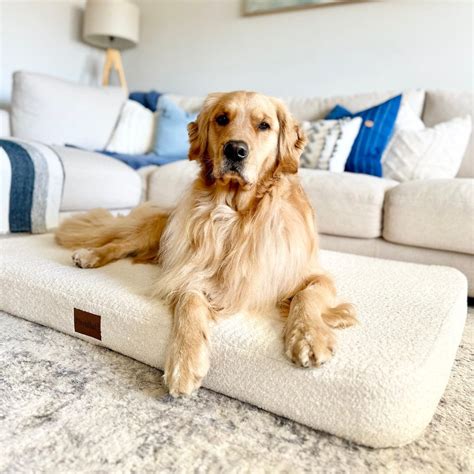 Bouclé PlushMat! Orthopaedic Dog Bed – Aussie Luxury – Rover Pet Products