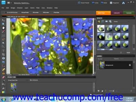 Image result for Adobe Photoshop Elements Tutorials
