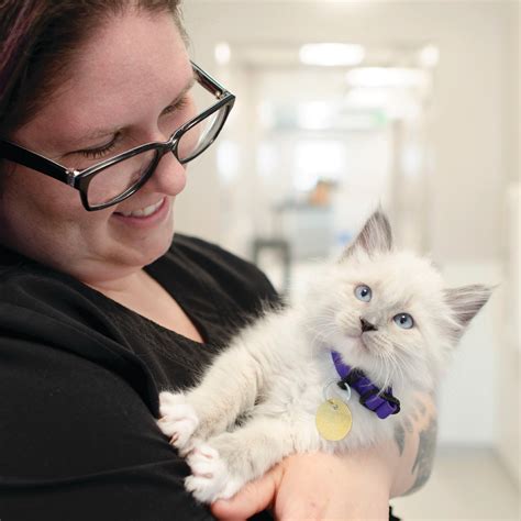 Tis the season - Kitten season! - Humane Colorado