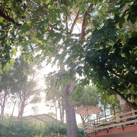 CINE BOHIO (2026) All You Need to Know BEFORE You Go (w/ Reviews ...