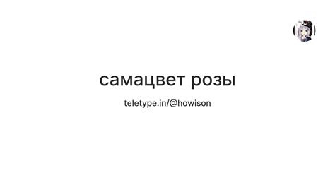 самацвет розы — Teletype