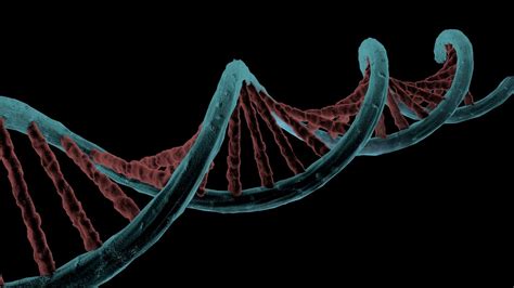 Dna Helix Medical 3D model | CGTrader