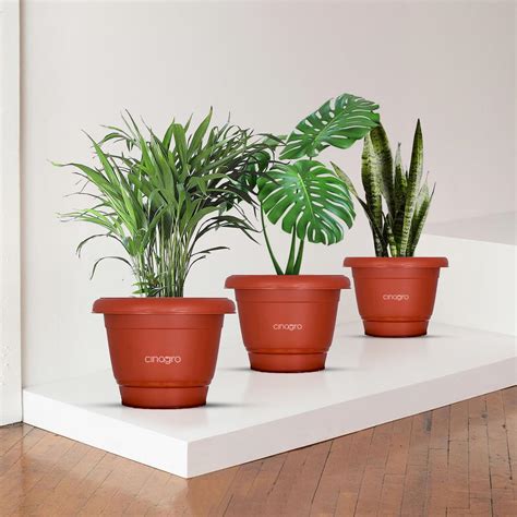 CINAGRO Plastic Round Pot (10 inch - Pack of 3) Gamla Pot, UV Treated ...