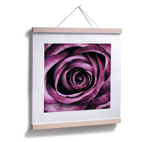 Poster Violet Rose | wall-art.com