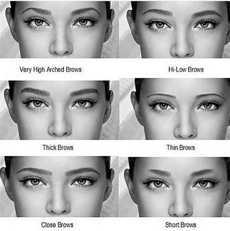 Pin by Tisha Prime on eyes | Types of eyebrows, Best eyebrow products, Different eyebrow shapes