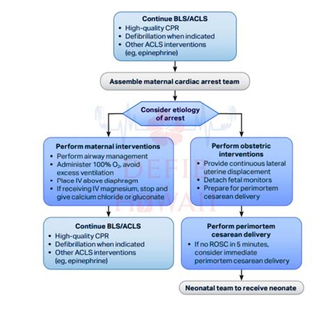 AHA ACLS Algorithms - 2020-2025 Updated Guidelines & Flowcharts