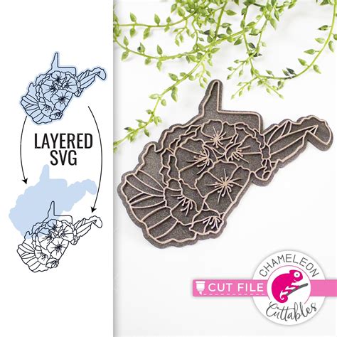 Virginia State Flower