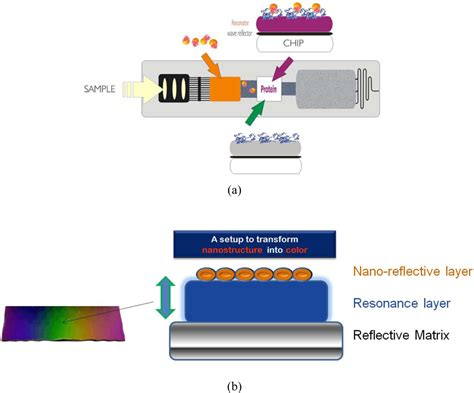 From Lateral Flow Devices to a Novel Nano-Color Microfluidic Assay