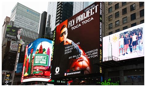 Image result for Tudor Fly Project