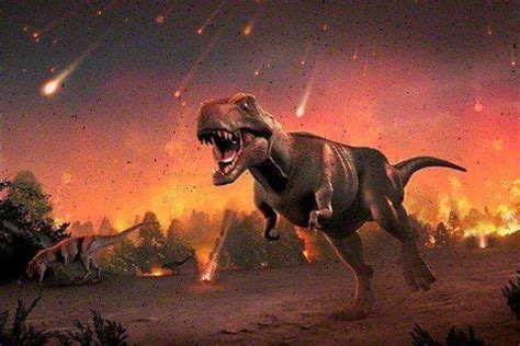 十大史前动物谜团：恐龙不是冷血动物