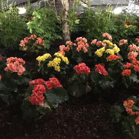 Hackensack Tourism (2024): All You Need to Know Before You Go