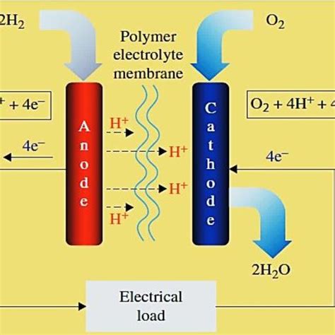 Fuel Cell Structure 的图像结果