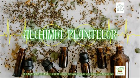 Alchimia plantelor, Str. Drumul Gura Siriului 124, Bucharest, Romania ...