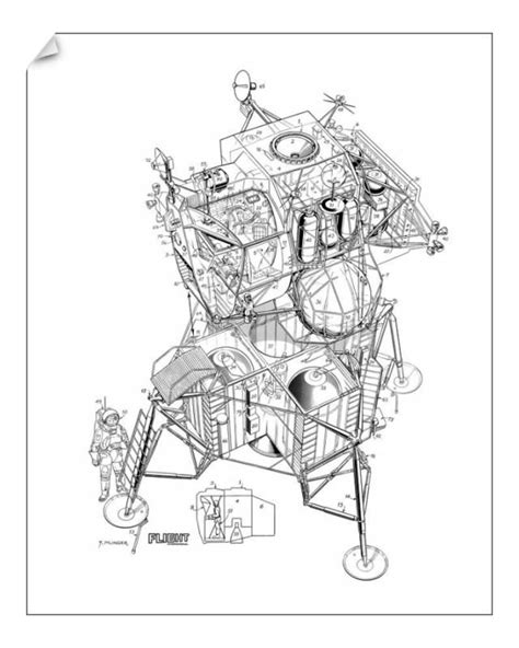 Image result for Lunar Module Drawing